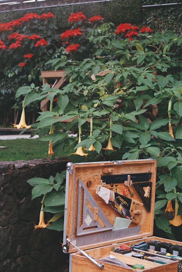 Outdoor Power Tools: A Practical Buying Guide for Yard Work
