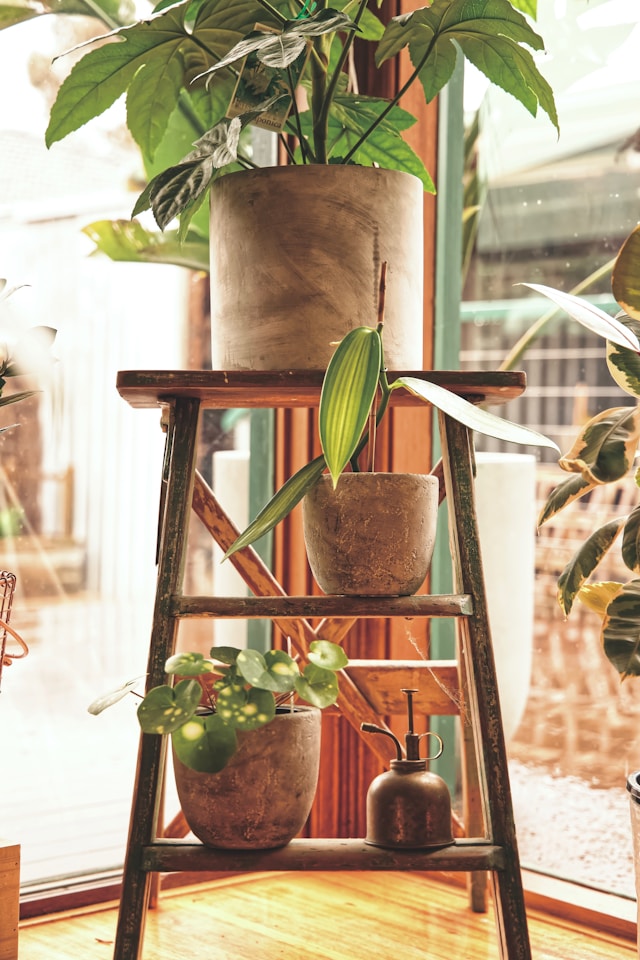 Black, Bronze, Brown, and Champagne Metal Plant Stands: Choosing a Finish for Home and Garden Decor