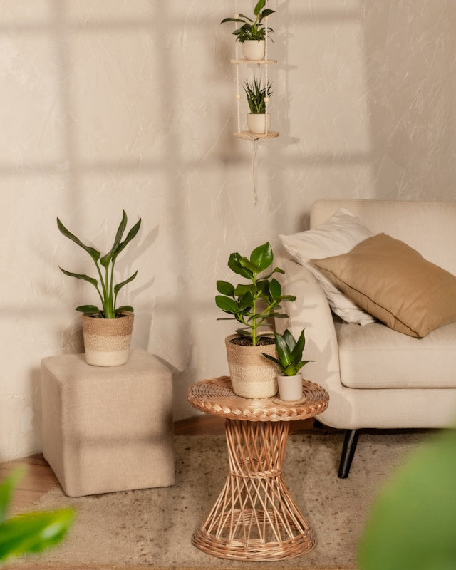 Adjustable Leveling Feet on Plant Stands: How They Help on Uneven Indoor and Outdoor Surfaces