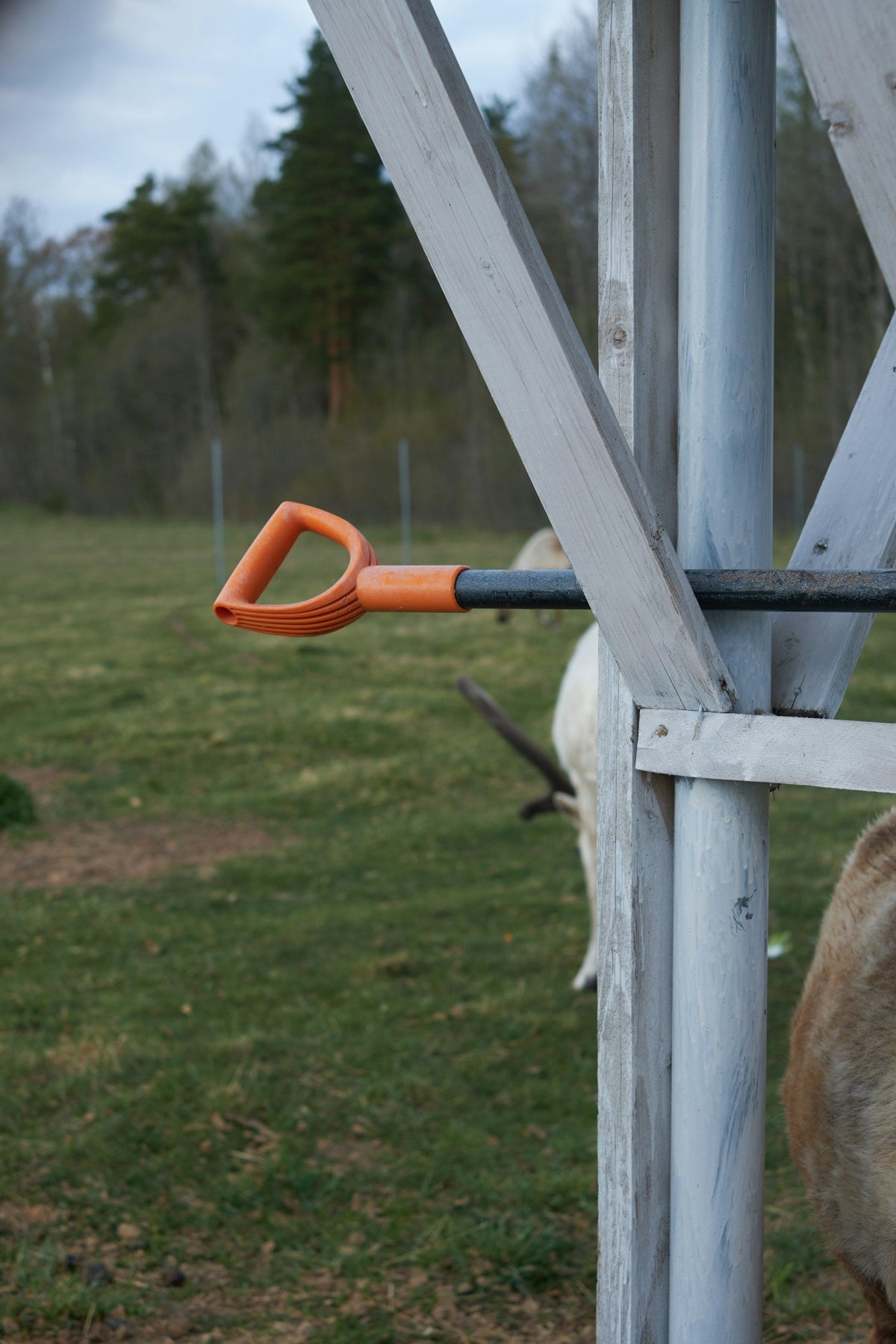 Farm & Ranch Supplies: How to Organize Everyday Property Maintenance Equipment