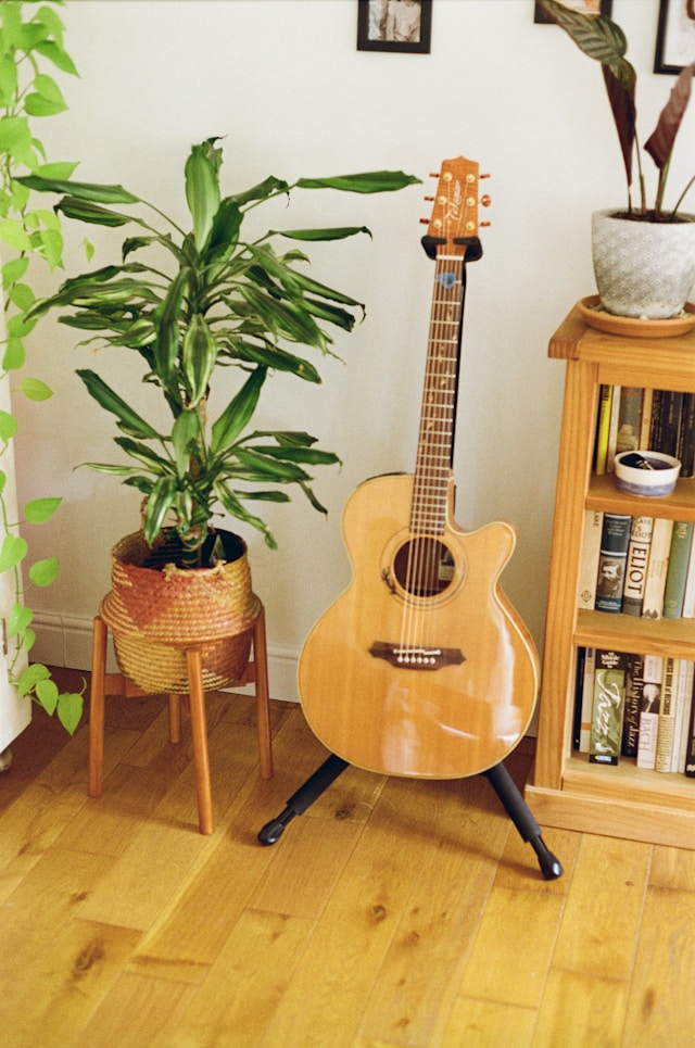 How to Measure a Flower Pot for a Plant Stand: Diameter, Base Width, Height, and Weight