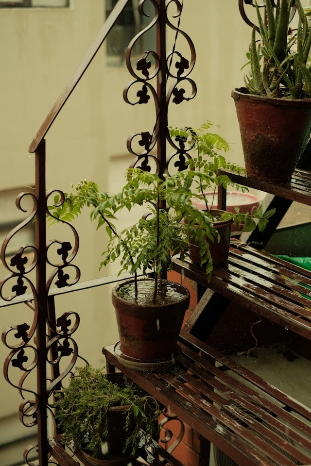 How to Use Plant Stands to Improve Airflow and Keep Pots Off the Floor