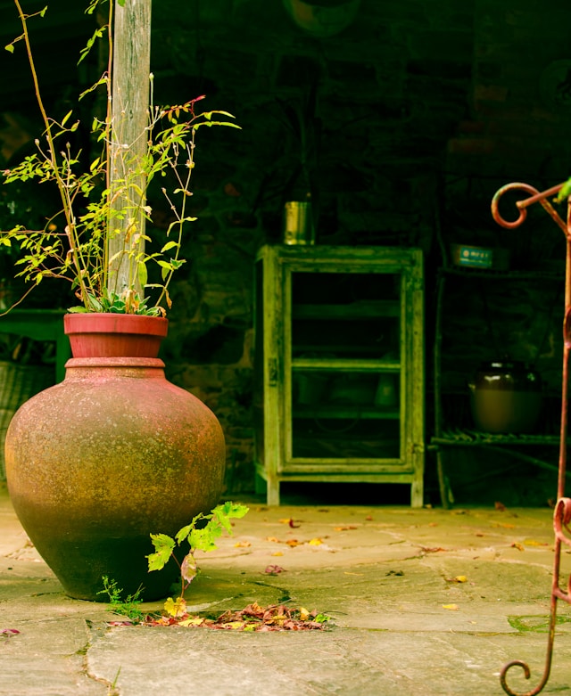 Tall Plant Stand Guide: Choosing Height for Windows, Corners, Sofas, and Entryways