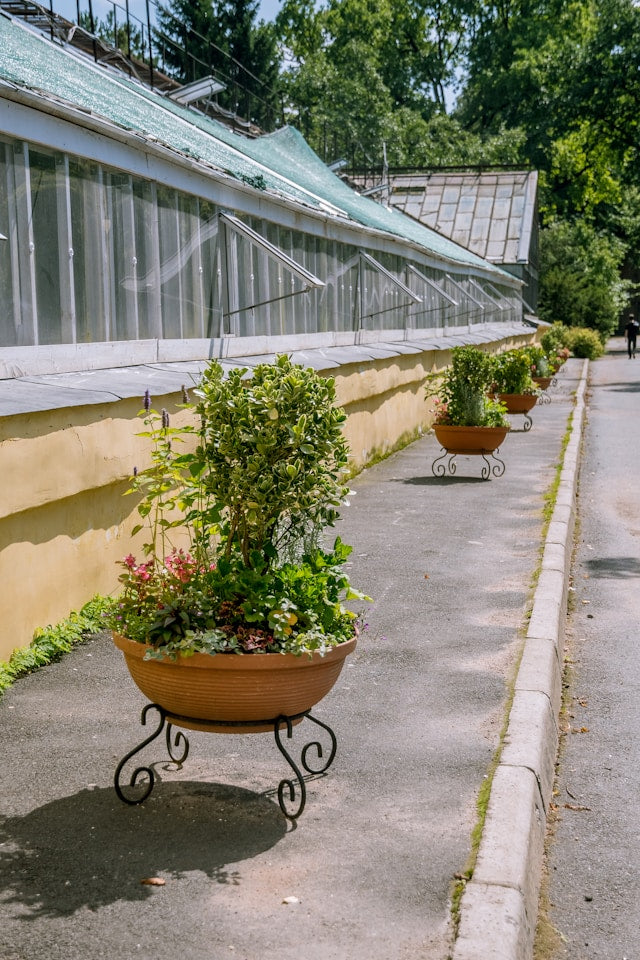 Two-Tier Plant Stands: How to Arrange Plant Heights, Pot Sizes, and Light Exposure