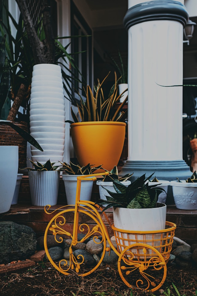 Four-Tier Plant Stands: Organizing Multiple Pots Without Overcrowding the Display