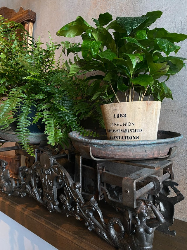 Five-Tier and Six-Tier Plant Stands: Planning Weight Distribution and Plant Access