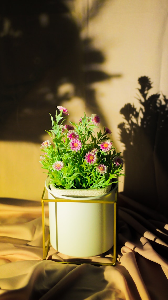 Corner Plant Stand Guide: How to Use Vertical Space Without Blocking Windows or Walkways