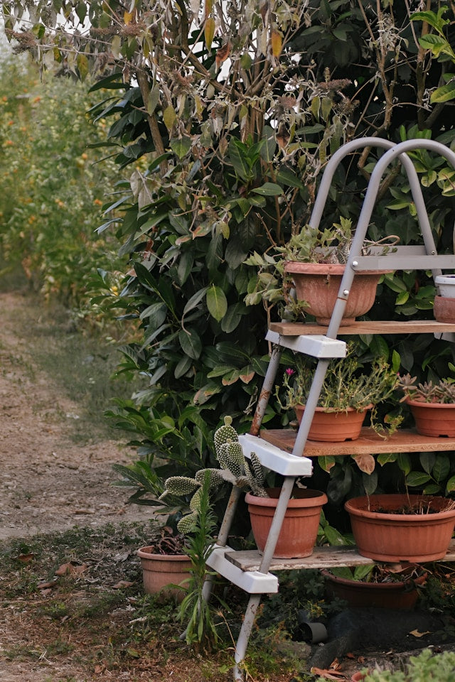 Ladder Plant Shelves: Comparing Foldable, Freestanding, and Corner Designs