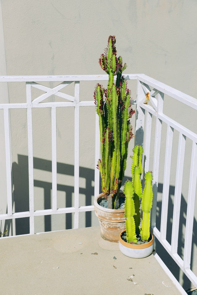 Multi-Tier Wood Plant Stands: Shelf Spacing, Moisture Protection, and Indoor-Outdoor Care