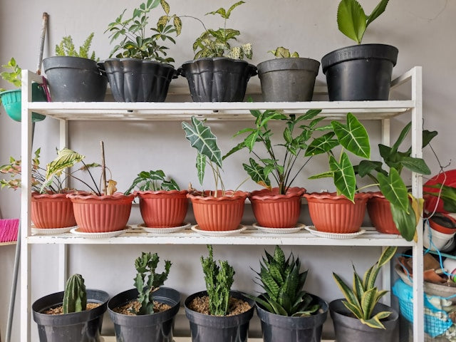 Plant Stands for Patios and Decks: Sun, Rain, Surface Protection, and Seasonal Storage