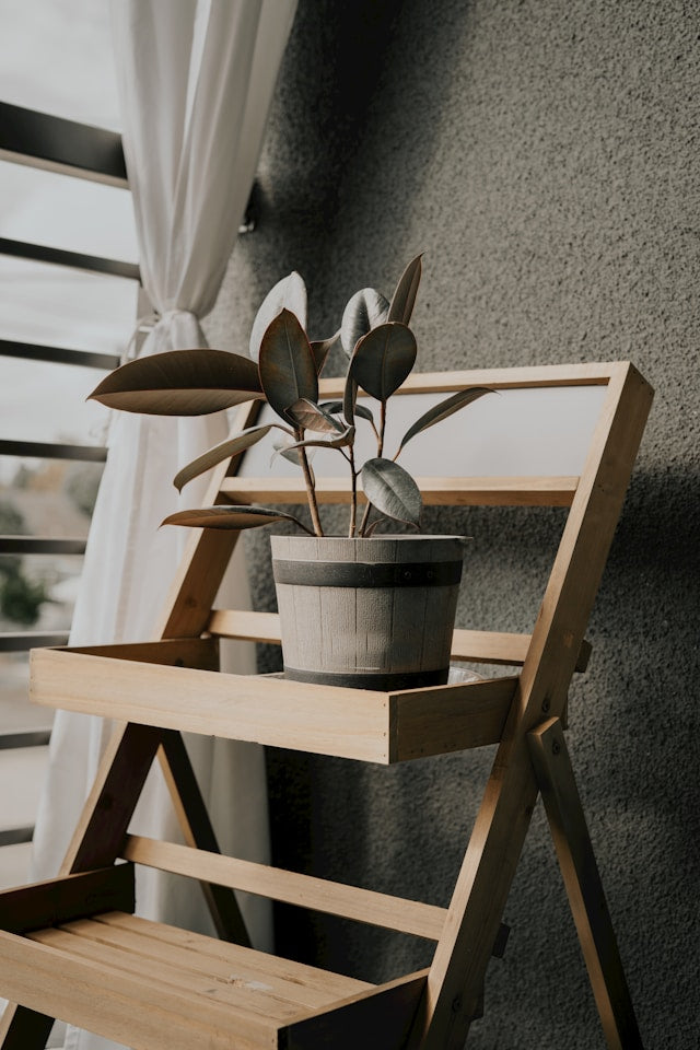 Plant Stands for Hanging Plants: Height, Clearance, Watering Access, and Drip Control