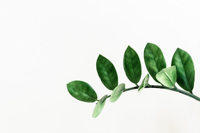 Indoor vs Outdoor Plant Stands: What to Check for Moisture, Sunlight, Wind, and Flooring