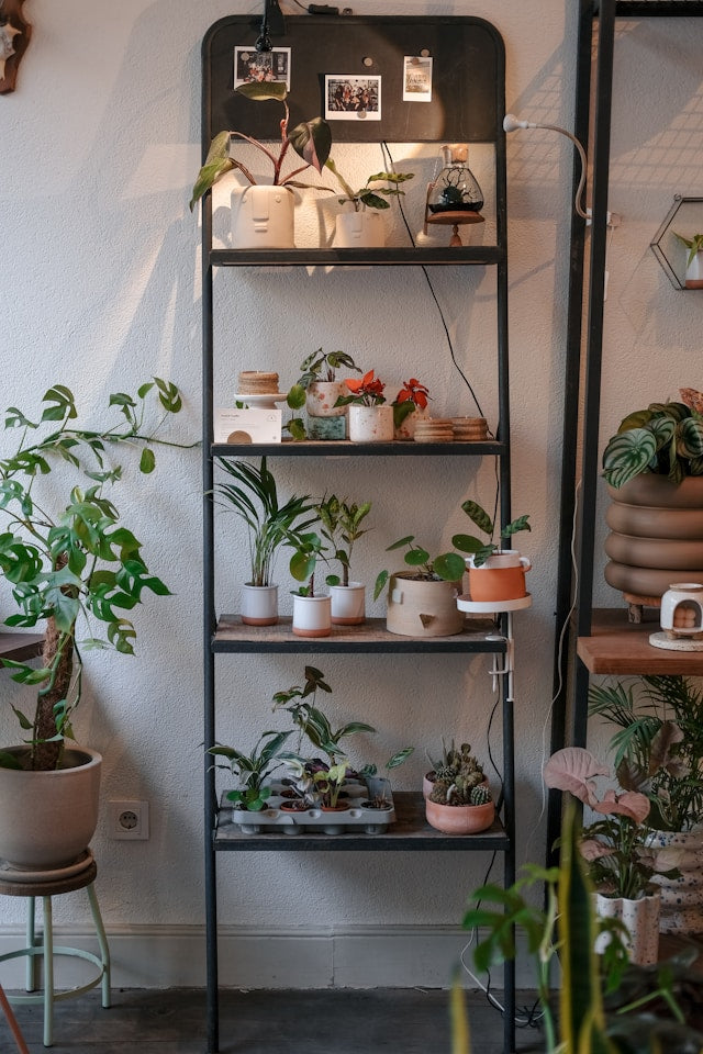 Decorative Glass-Top Plant Stands: Stability, Cleaning, Sunlight, and Pot Protection