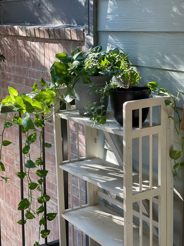 Cast Iron Plant Stands with Printed Tops: Styling Floral, Bird, and Country-Themed Designs