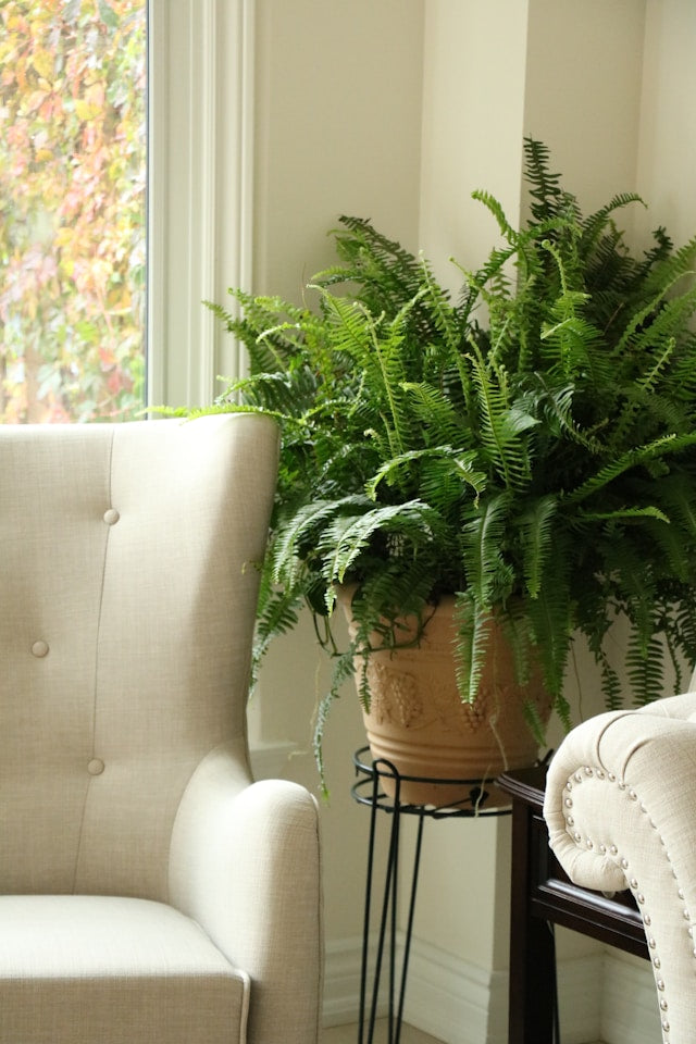Face Planters and Garden Statue Pots: Drainage, Stability, Plant Choice, and Placement