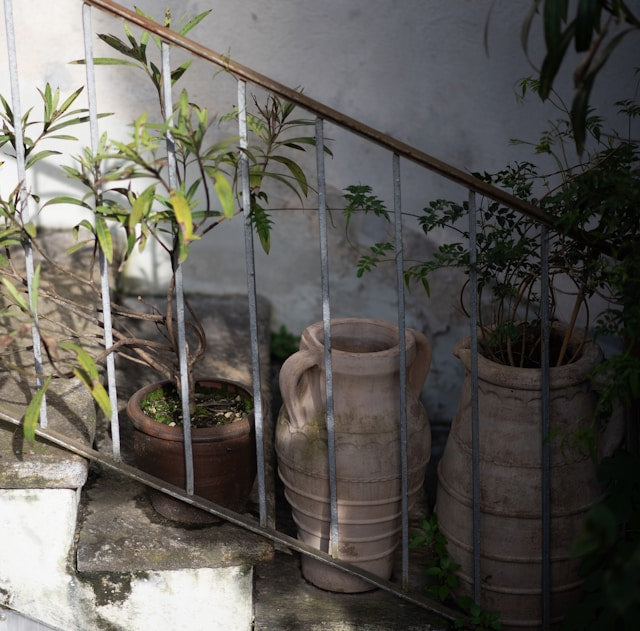 Plant Stands with Adjustable Height: Measuring Clearance and Maintaining Stability