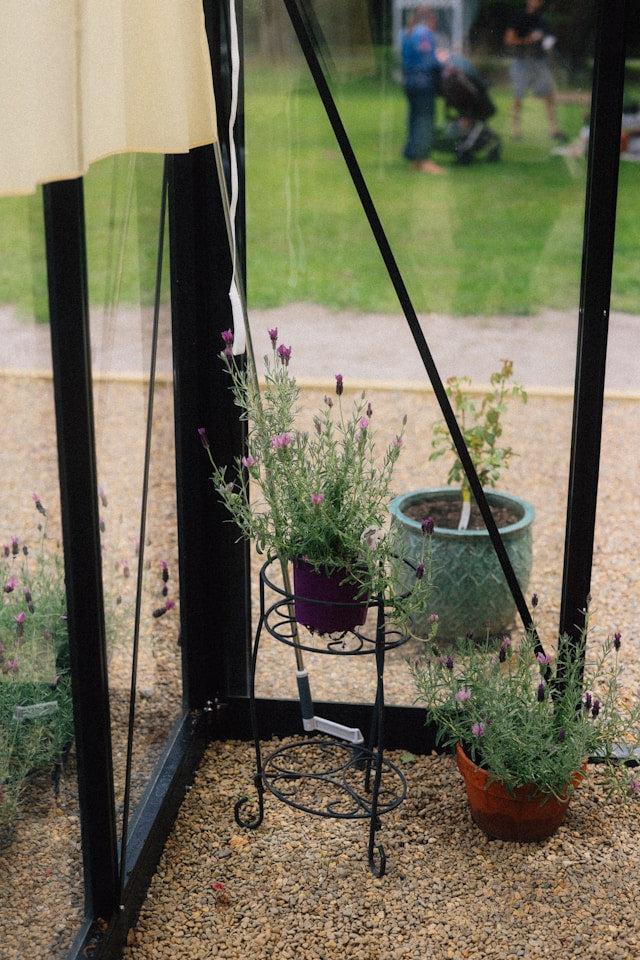 How to Choose Pots for Plant Stands: Base Shape, Saucer Size, Weight, and Material