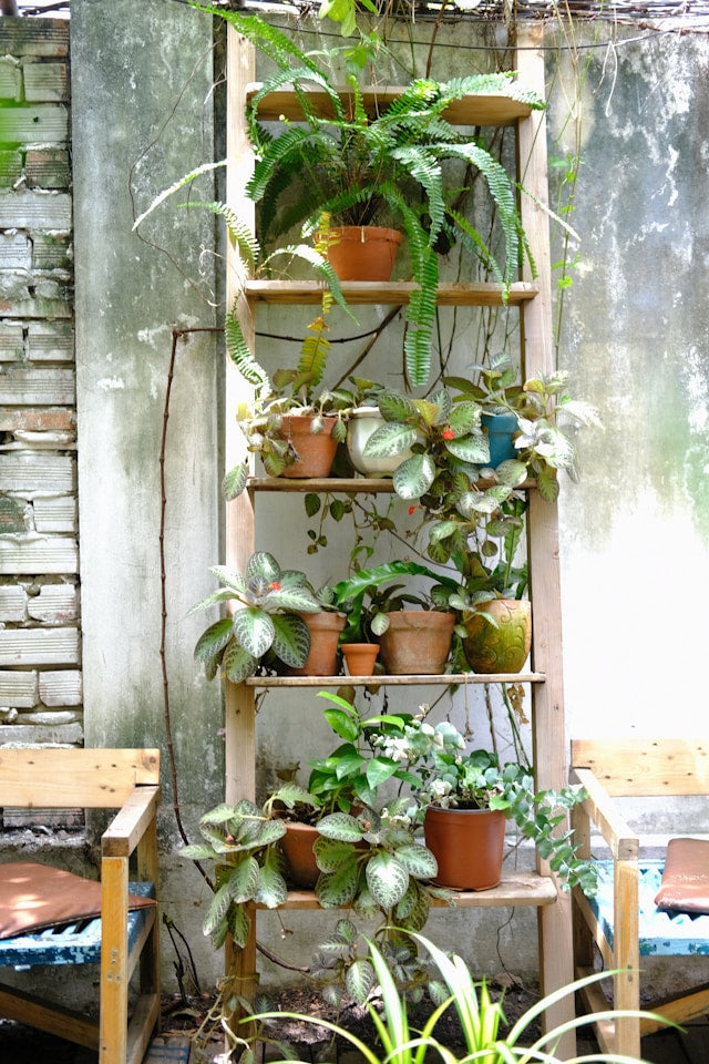Seasonal Plant Stand Planning: Moving Plants Indoors, Outdoor Storage, and Weather Protection