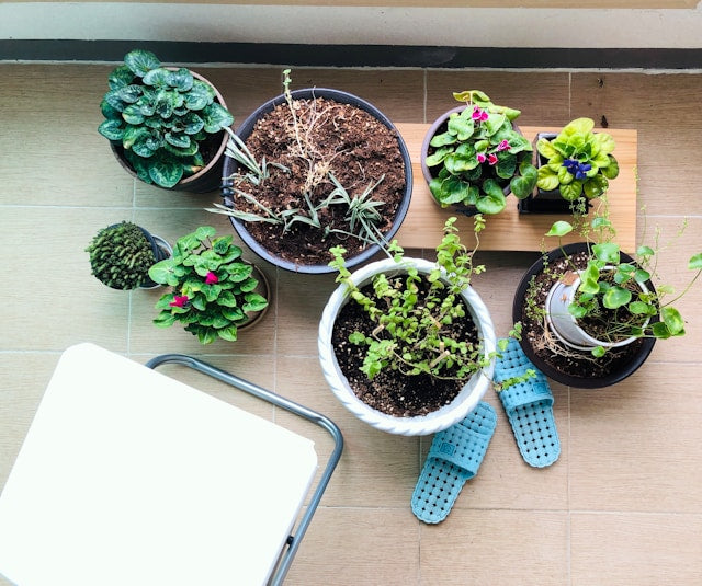 Plant Stand Setup Checklist: Assembly, Leveling, Weight Testing, Pot Placement, and Final Inspection