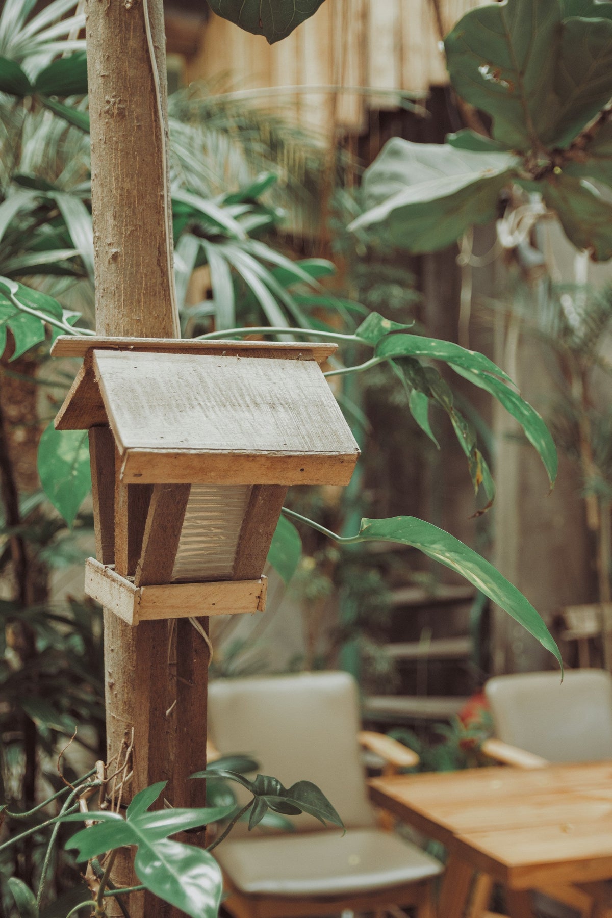 Backyard Birding: How to Create a More Bird-Friendly Outdoor Space