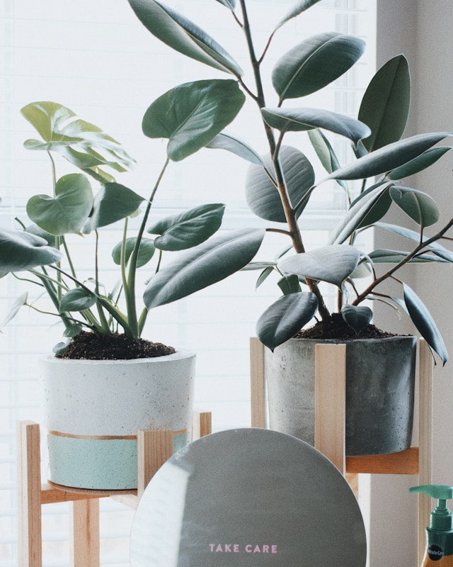 Plant Stand Safety Guide: Children, Pets, Heavy Pots, Uneven Floors, and Tip Prevention