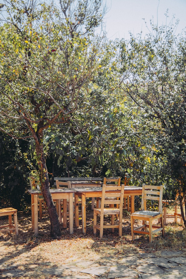 Outdoor Furniture Layout Ideas for Small and Large Backyards