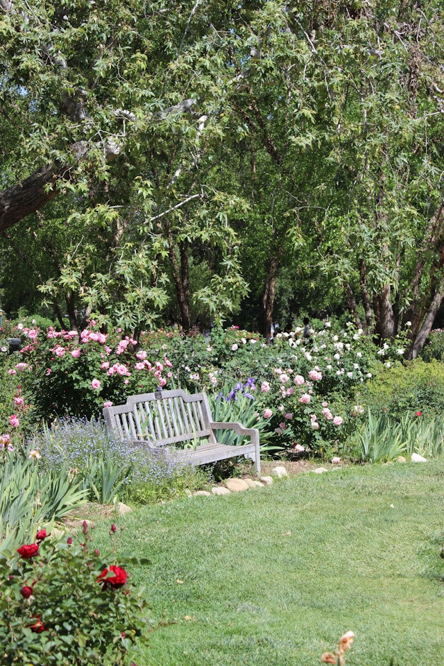 How to Create a Backyard Space for Quiet Conversation