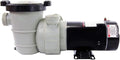 Rx Clear Dorado 1-1/2 HP Dual Port Pump | Above-Ground Swimming Pool Pump | 115V 9 Amps | See-Through Strainer Cover | Energy Efficient | Low Maintenance