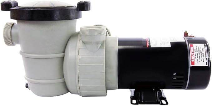 Rx Clear Dorado 1 HP Dual Port Pump | Above-Ground Swimming Pool Pump | 115V 7.3 Amps | See-Through Strainer Cover | Energy Efficient | Low Maintenance
