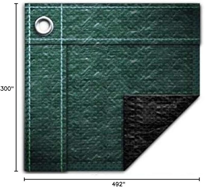 Buffalo Blizzard Ripstopper 21 ft x 42 ft Oval Winter Pool Cover | Green Heavy Duty Cover for Above Ground Swimming Pools | Easy to Install | Cold & UV Resistant | Shields from Seasonal Debris