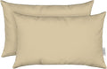RSH DECOR: Sunbrella Lumbar Throw Pillows Set of 2 | 20" x 12" | Water and Fade-Resistant Performance Fabric | Outdoor Pillow Covers with Down-Alternative Inserts | Canvas Antique Beige