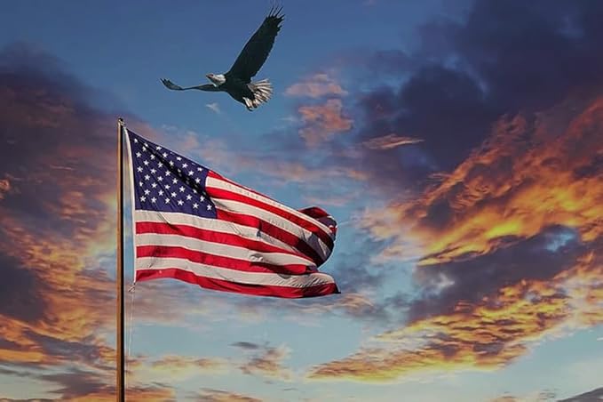 American Flag 8x12ft Long Lasting for Outside, Heavy Duty Nylon, Embroidered Stars, Brass Grommets, Perfect for Outdoor US Flags Show Your Patriotism