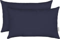 RSH DECOR: Sunbrella Lumbar Throw Pillows Set of 2 | 20" x 12" | Water and Fade-Resistant Performance Fabric | Outdoor Pillow Covers with Down-Alternative Inserts | Canvas Navy Blue