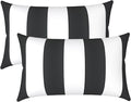 LVTXIII Outdoor/Indoor Lumbar Pillows, Decorative Patio Lumbar Cushions, Fluffy Water Repellent Garden Cushions for Home Patio Coach Sofa Use, 12×20 Inch, Pack of 2, Cabana Black