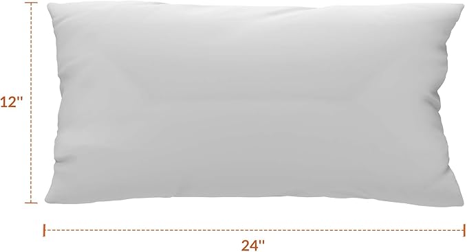 Covers & All Sunbrellla Outdoor Pillows for Patio Furniture, UV Fade Resistant & Waterproof Outdoor Sunbrella Lumbar Pillows, Set of 2 Inserts & Covers for Patios, Decks and Porches, Spectrum Graphite