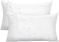 Ashler Outdoor Pillow Inserts, 12x20 Waterproof Throw Pillows Pack of 2, Outdoor Pillows Water-Resistant Decorative Premium Lumbar Pillow Stuffer Sham for Porch Patio Living Room Bedroom Furniture