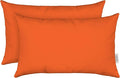 RSH DECOR: Sunbrella Lumbar Throw Pillows Set of 2 | 20" x 12" | Water and Fade-Resistant Performance Fabric | Outdoor Pillow Covers with Down-Alternative Inserts | Canvas Melon