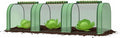 Mini Greenhouse with Roll-Up Zipper Door, Heavy Duty PE Cover, Sturdy Steel Frame, Portable Garden Plant Tent for Indoor Outdoor, Balcony, Patio, Seedlings, Fruits & Vegetables, 297x100x80Cm