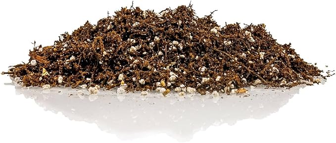 Gardenera Fern + Perlite Soil Mix - 10 Quart - for Repotting and Planting Succulents and Cactuses (4 Bags of 5 Quart)