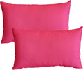 ADLIVWYD Lumbar Pillows for Indoor Outdoor uses,Waterproof Removable Cover with Zipper Outdoor Pillows Set of 2 for Patio Furniture,12×20 Inch (Pink)