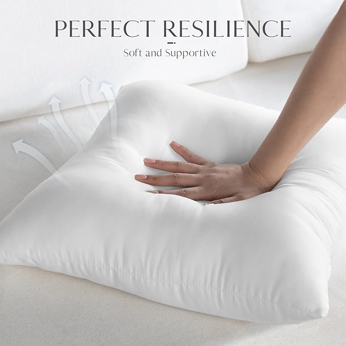 Ashler Outdoor Pillow Inserts, 18x18 Waterproof Throw Pillows Pack of 2, Outdoor Pillows Water-Resistant Decorative Premium Square Pillow Stuffer Sham for Porch Patio Living Room Bedroom Furniture