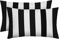 RSH Décor: Set of 2 Lumbar Throw Pillows | Indoor/Outdoor All Weather Polyester Fabric | Decorative Accent Cushions for Patio Furniture | Reversible | 26” x 16" | Black & White Stripe
