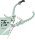 Modern Sprout Pruning Shears - Herb Snipping Scissors- Lightweight Gardening Tools W/Easy Lock - Flower Cutter Garden Shears - Carbon Steel Blade + Reusable Holster (Green, 1-Pack)
