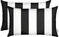 RSH DECOR: Sunbrella Lumbar Throw Pillows Set of 2 | 20" x 12" | Water and Fade-Resistant Performance Fabric | Outdoor Pillow Covers with Down-Alternative Inserts | Cabana Classic