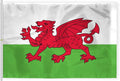 AGAS Wales Flag 8x12 ft - Outdoor 200D Nylon - 6 Needle Lock Stitched Fly Hem - Canvas Header - Rope Thimble & 1 Brass Grommet