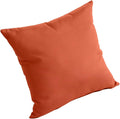 Comfort Classics Sunbrella Outdoor/Indoor Throw Pillow in Brick Inc.