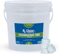 Rx Clear 1" Inch Chlorine Tabs | 8 Pounds | Use Tablets as Bactericide, Algaecide, & Disinfectant in Swimming Pools | Stabilized, Long Lasting, Slow Dissolving, & UV Protected