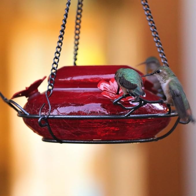 Nature's Way Bird Products MHF4 Hand Blown Garden Top Fill Hummingbird Feeder, 16 oz Capacity, Red