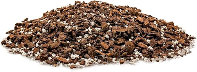 GARDENERA Monstera Borsigiana Planting Mix - Promotes Steady Growth and Vibrant Leaves - 10 Quart (2 Bags of 5 Quart)