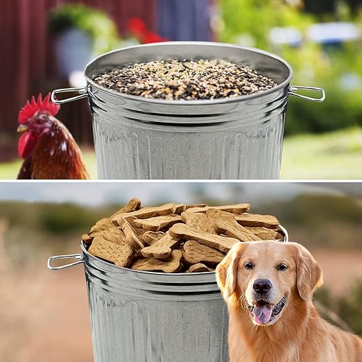 Plexon Metal Trash Can with Lid Outdoor 20 Gallon Galvanized Steel Garbage Bucket with Lid Silver, 6 Pack